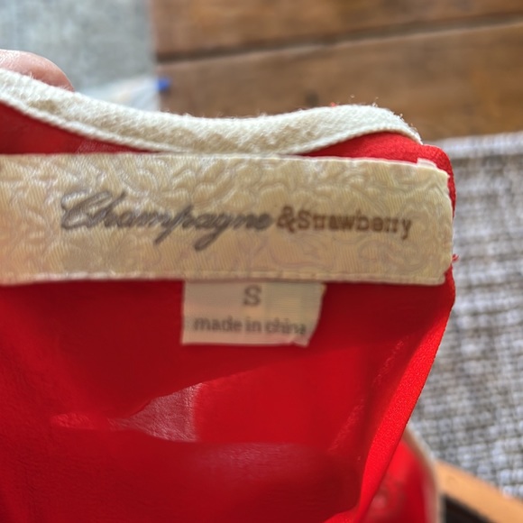 Vintage Styled Dress - Picture 5 of 5